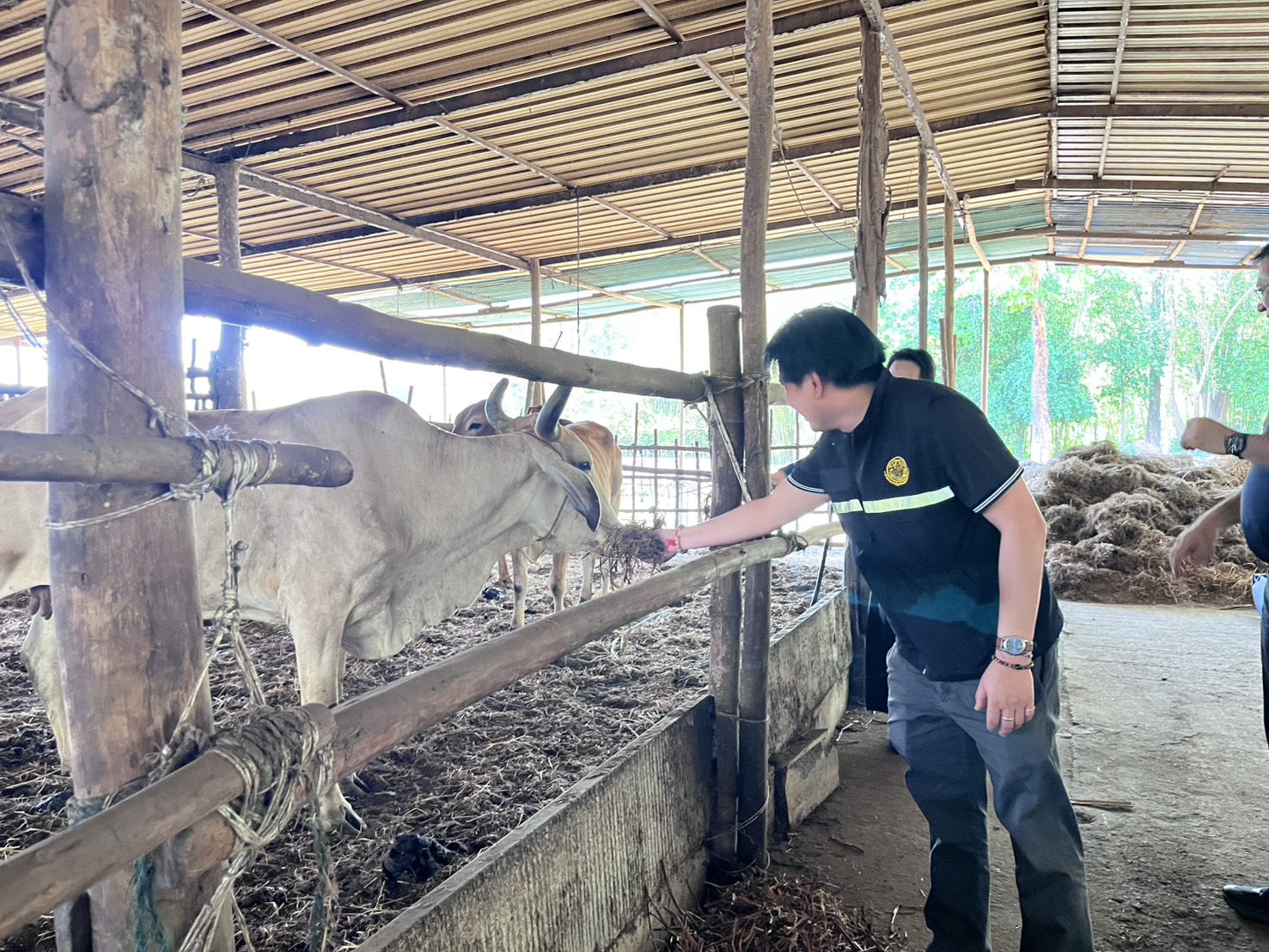 title - วันอังคารที่ 31 มีนาคม 2569 นายวิทูล ประดิษฐบุญ ปฏิรูปที่ดินจัังหวัดปราจีนบุรี พร้อมด้วย เจ้าหน้าที่ ส.ป.ก.ปราจีนบุรี เข้าร่วม กิจกรรมเปิดโครงการ Kick off การใช้ประโยชน์ จากฟางข้าวตาม 